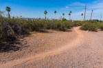 Papago Park Trail