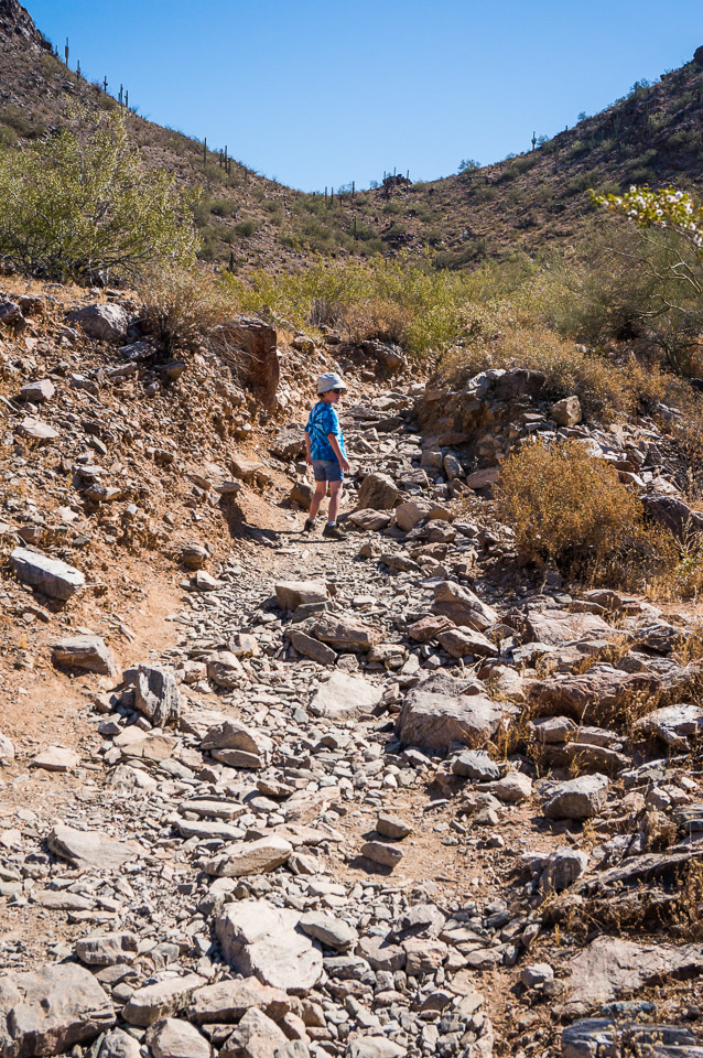 Trail 340 - Rocky Trail