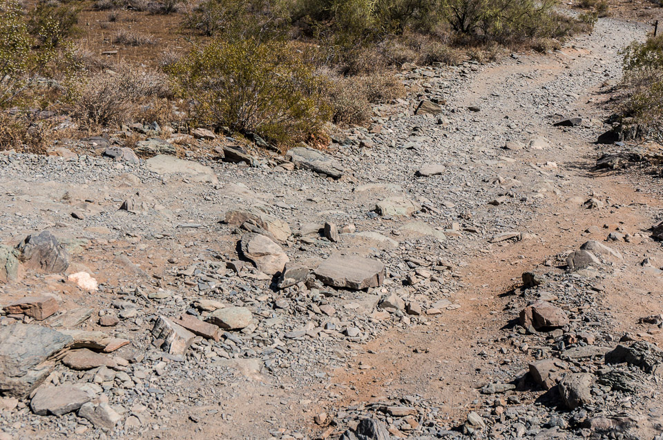 Trail 100 - Widow Maker